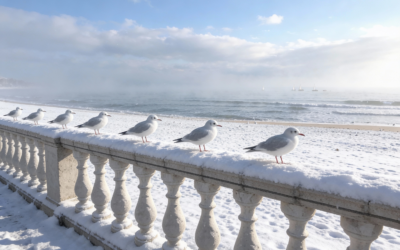 SITGES EN INVIERNO: QUIÉN LLEGA, QUÉ BUSCA Y POR QUÉ CAMBIA EL PULSO DEL MERCADO