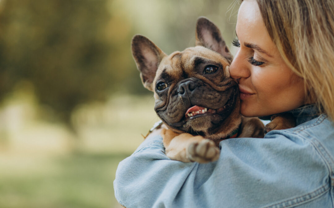 SITGES “PET-FRIENDLY” EN 2026: EL DETALLE QUE ESTÁ CAMBIANDO DECISIONES DE COMPRA (Y DE VENTA)